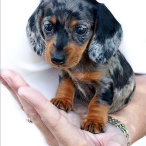 Meet your Posher, Kaitlyn